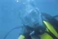 dive mike.jpg (885x594)